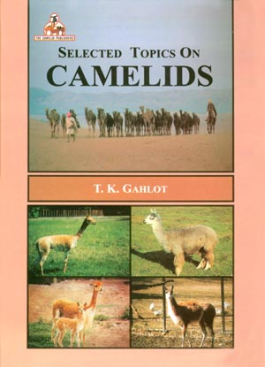 Selected Topics on Camelids